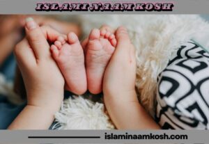 আরিয়ান নামের অর্থ কি